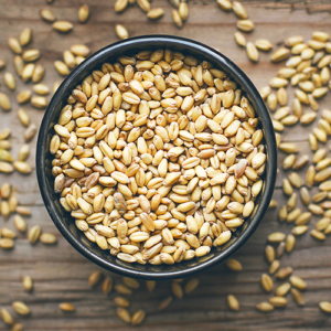 WHEAT