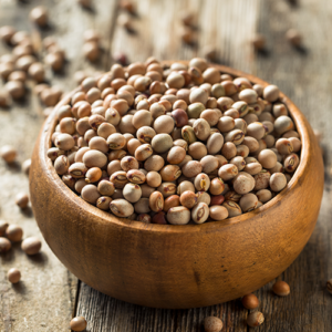PIGEON PEA